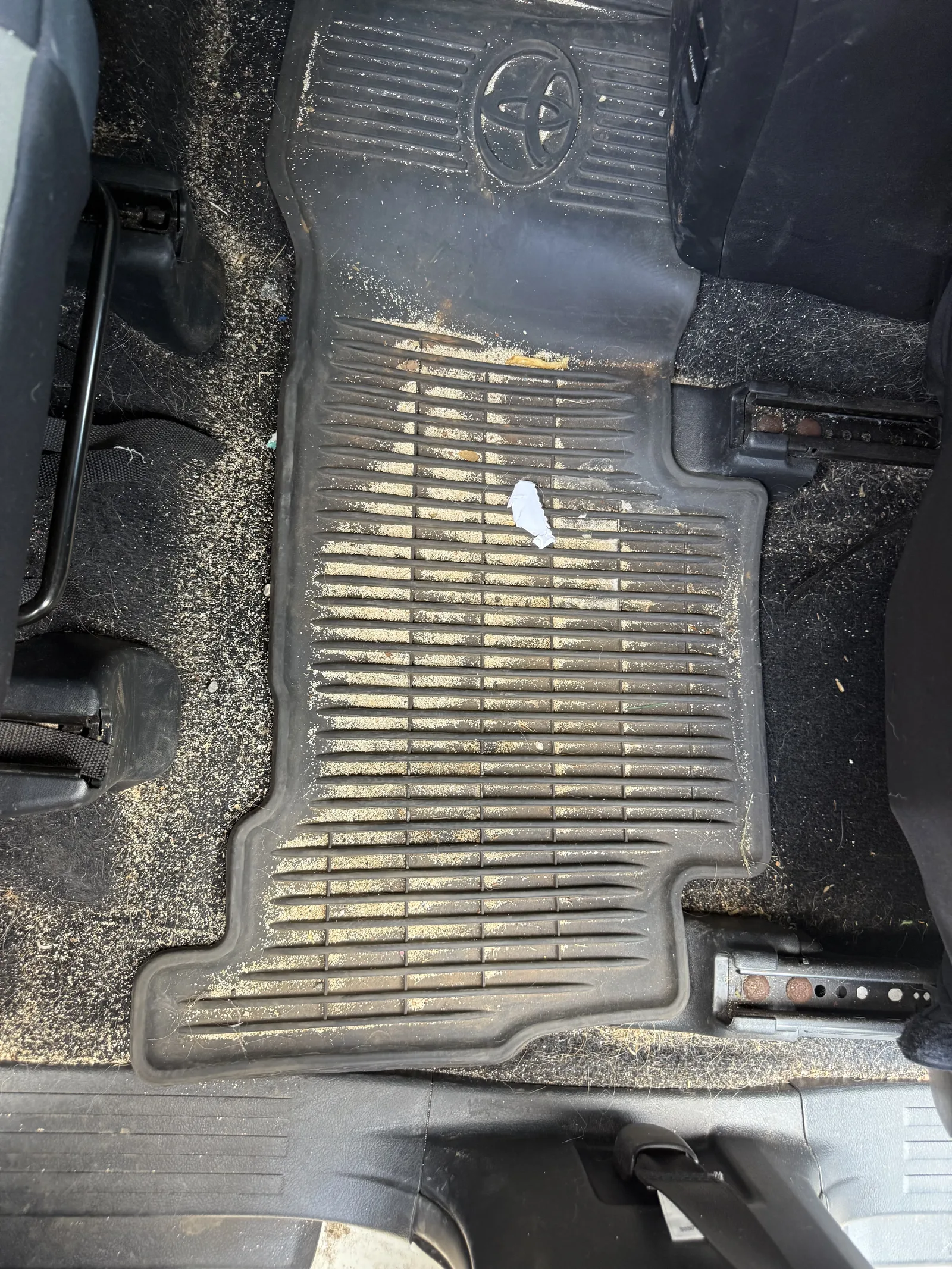 Sand, dirt, and pet hair caked into a truck floor mat before Chopped Details interior detailing