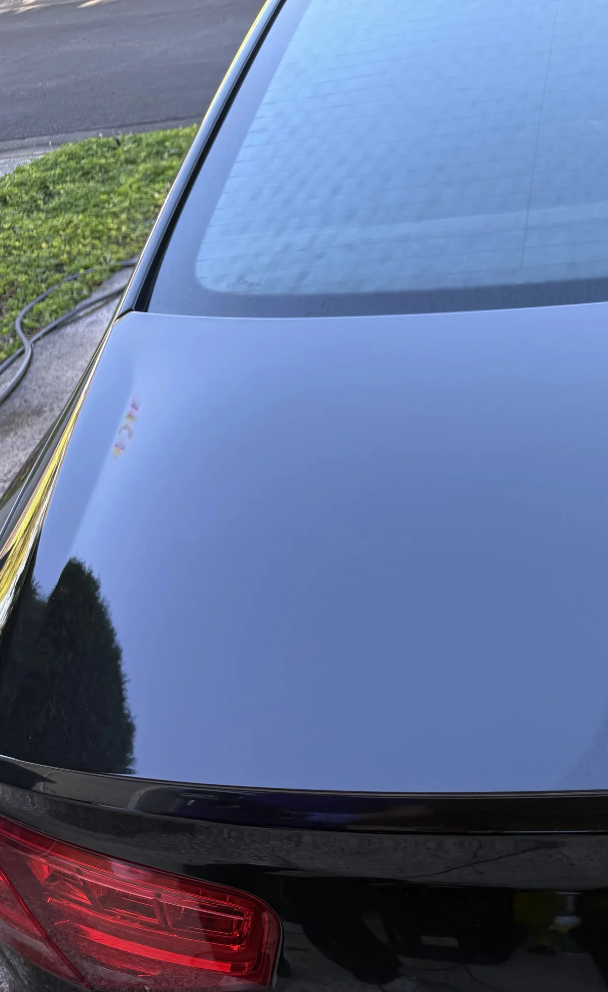 Mirror-gloss trunk lid and rear glass on a black Audi S8 after Chopped Details paint correction